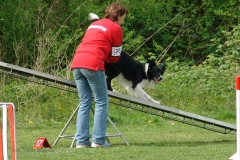Behendigheid 005