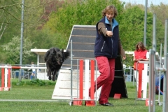 Behendigheid 022