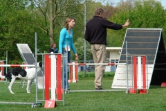 Behendigheid 035