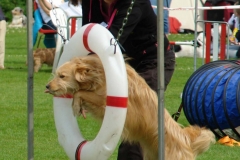 DSC02083