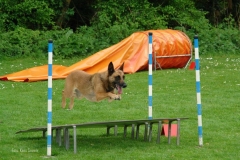 DSC02094