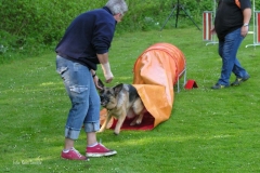DSCN1492