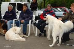 Wedstrijduitslag witte herders