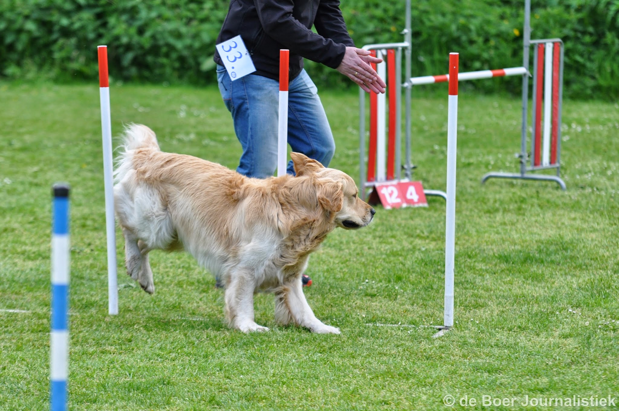 Clubwedstrijden KC Zeist