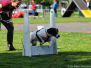 Clubwedstrijd 2015
