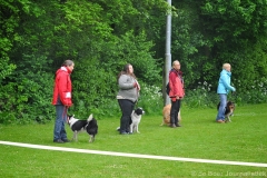 Clubwedstrijden KC Zeist