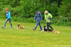 Clubwedstrijden KC Zeist