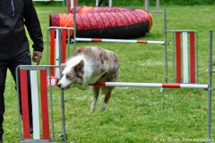 Clubwedstrijden KC Zeist