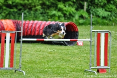 Clubwedstrijden KC Zeist