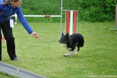 Clubwedstrijden KC Zeist