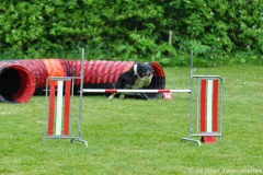 Clubwedstrijden KC Zeist