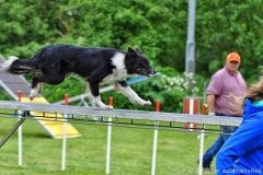Clubwedstrijden KC Zeist