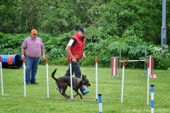 Clubwedstrijden KC Zeist