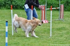 Clubwedstrijden KC Zeist