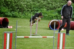 Clubwedstrijden KC Zeist