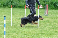 Clubwedstrijden KC Zeist