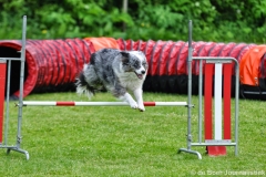 Clubwedstrijden KC Zeist