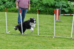Clubwedstrijden KC Zeist
