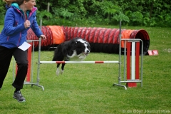 Clubwedstrijden KC Zeist