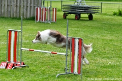 Clubwedstrijden KC Zeist