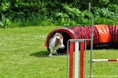 Clubwedstrijden KC Zeist