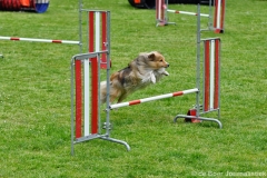 Clubwedstrijden KC Zeist