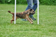 Clubwedstrijden KC Zeist