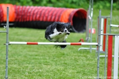 Clubwedstrijden KC Zeist