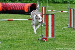 Clubwedstrijden KC Zeist