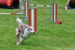 Clubwedstrijden KC Zeist