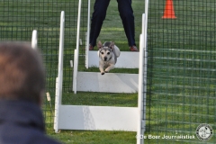 DSC_0052