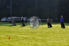 FCI_Obedience_KC_Zeist_2015 (10)