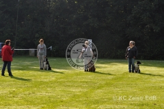 FCI_Obedience_KC_Zeist_2015 (12)