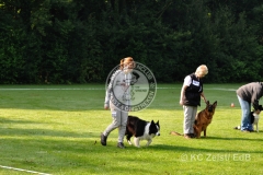 FCI_Obedience_KC_Zeist_2015 (14)