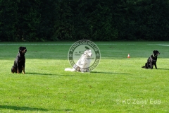 FCI_Obedience_KC_Zeist_2015 (15)