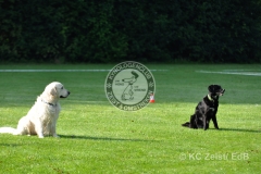 FCI_Obedience_KC_Zeist_2015 (16)