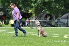 FCI_Obedience_KC_Zeist_2015 (211)