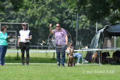 FCI_Obedience_KC_Zeist_2015 (212)