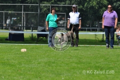 FCI_Obedience_KC_Zeist_2015 (213)