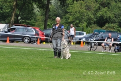 FCI_Obedience_KC_Zeist_2015 (214)