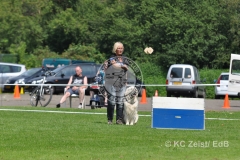 FCI_Obedience_KC_Zeist_2015 (215)