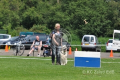 FCI_Obedience_KC_Zeist_2015 (216)