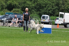 FCI_Obedience_KC_Zeist_2015 (217)