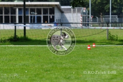 FCI_Obedience_KC_Zeist_2015 (218)