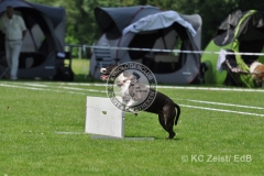FCI_Obedience_KC_Zeist_2015 (221)