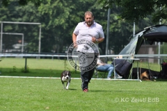 FCI_Obedience_KC_Zeist_2015 (224)