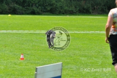 FCI_Obedience_KC_Zeist_2015 (227)