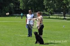 FCI_Obedience_KC_Zeist_2015 (228)