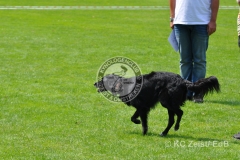 FCI_Obedience_KC_Zeist_2015 (230)