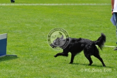 FCI_Obedience_KC_Zeist_2015 (231)